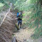 Carpathians waterfalls report